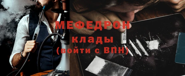 индика Бородино