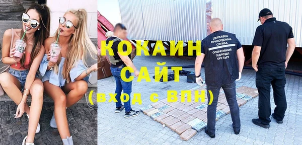 крисы Богородск