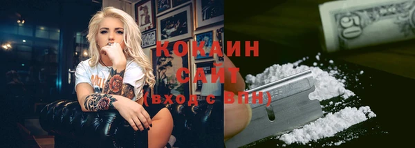 индика Бородино