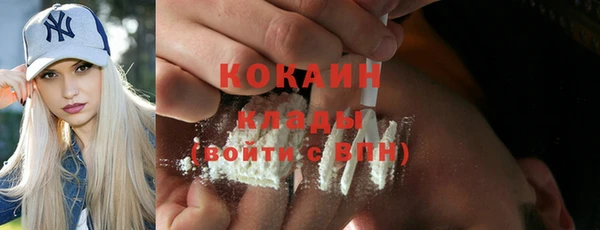 индика Бородино