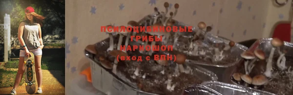 ALPHA PVP Богородицк