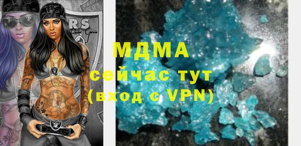 индика Бородино