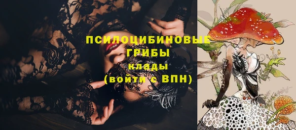 ALPHA PVP Богородицк
