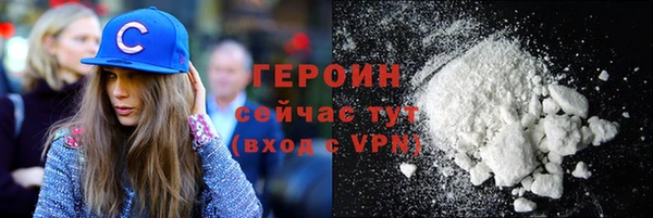 индика Бородино