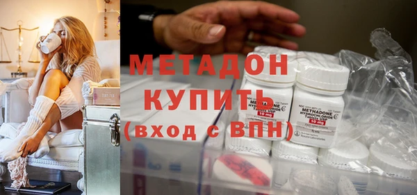 индика Бородино